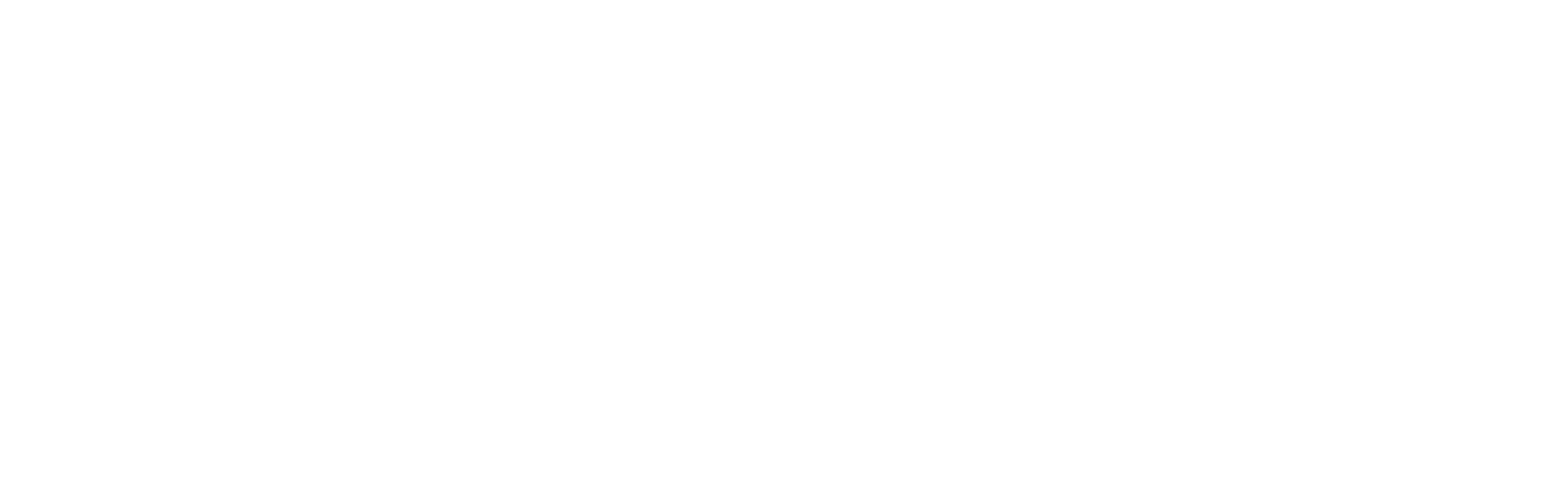 ALR Virtual Services INC